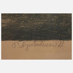 Prof. Bruno Goldschmitt, Im Gebirge