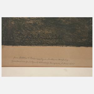 Prof. Bruno Goldschmitt, Im Gebirge