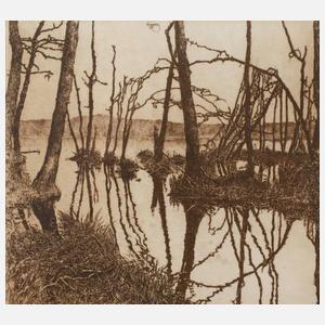 Walter Herzog, "Novembersee"