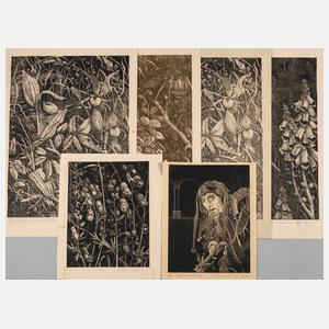 Martin Junge, Sammlung Lithographien