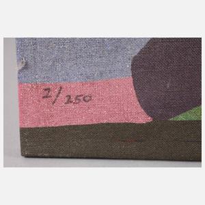 Christian Müller, Abstrahierte Vögel