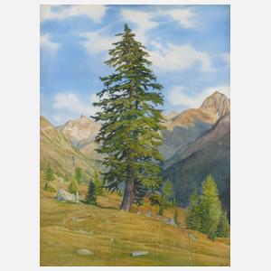 Böhm, Fichte in Hochgebirgslandschaft