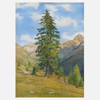 Böhm, Fichte in Hochgebirgslandschaft111