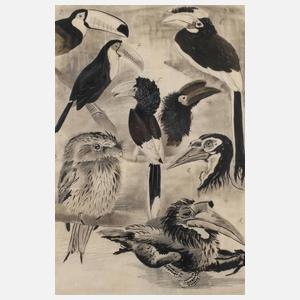 Wilhelm Schröder, Sonderbare Vögel