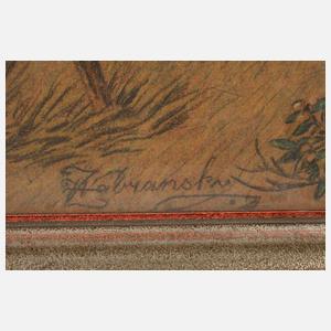 W. Zabransky, Hirschwild im Gebirge