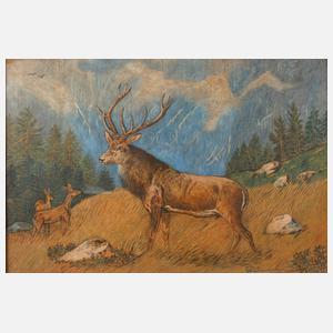 W. Zabransky, Hirschwild im Gebirge