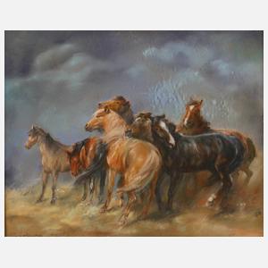 Pferde im Gewitter