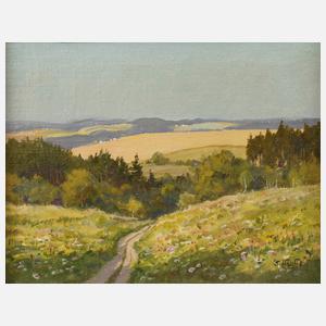 Siegfried Hauffe, Weg durch Sommerlandschaft