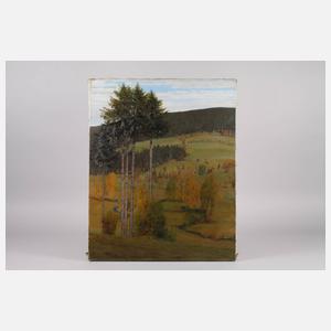 Richard Birnstengel, Im Erzgebirge