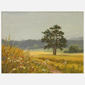 Siegfried Hauffe, Blumen am Wegesrand