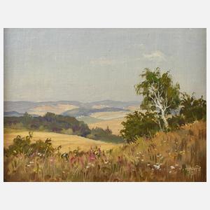 Siegfried Hauffe, Weite Sommerlandschaft