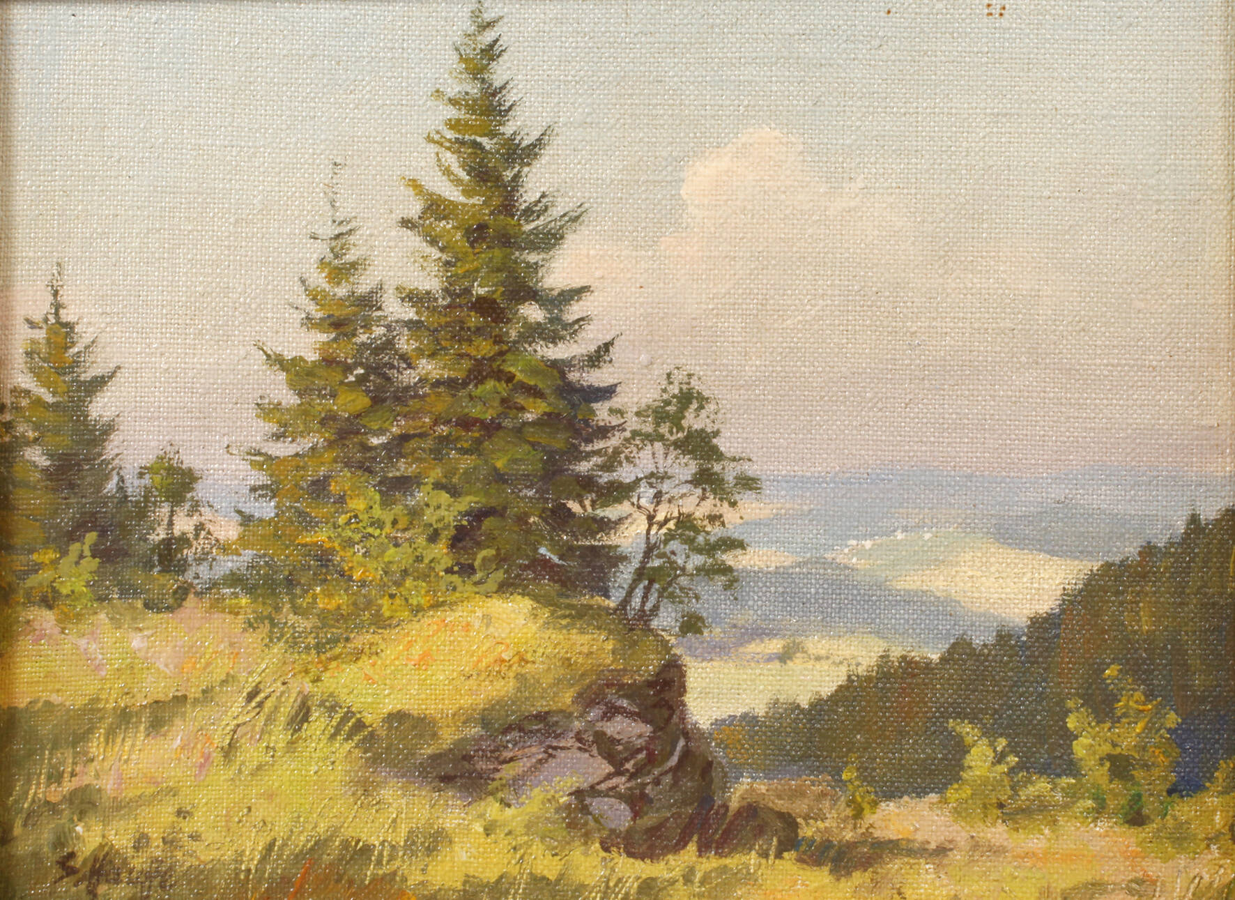 Siegfried Hauffe, Fichten auf hohem Fels