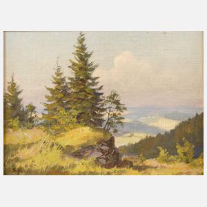 Siegfried Hauffe, Fichten auf hohem Fels