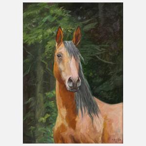 Siegfried Hauffe, Pferdeportrait