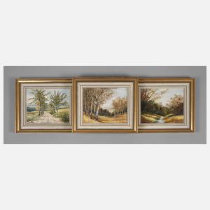 Drei Vogtlandansichten