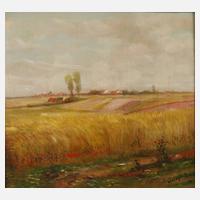 Léo Spanoghe, Sommer auf dem Land111