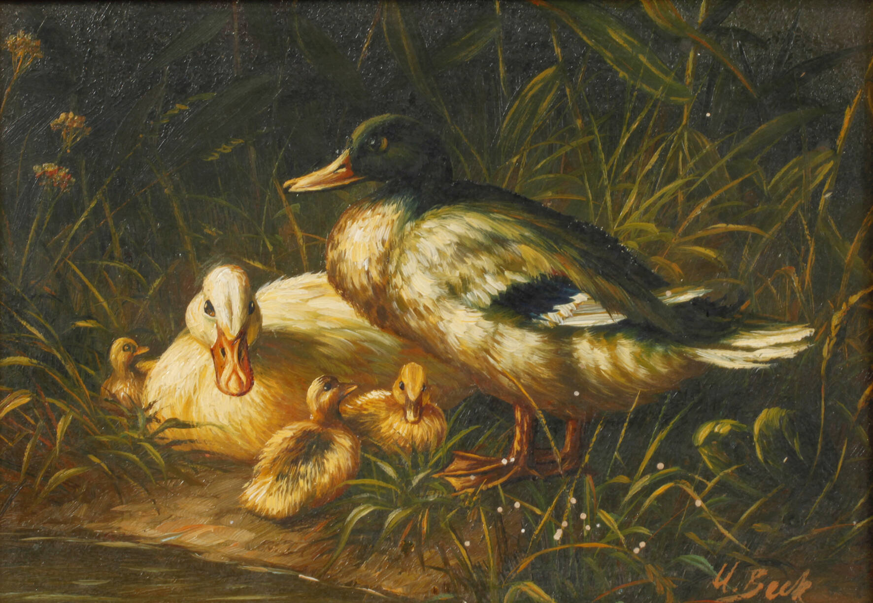 U. Beck, Entenfamilie