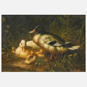 U. Beck, Entenfamilie