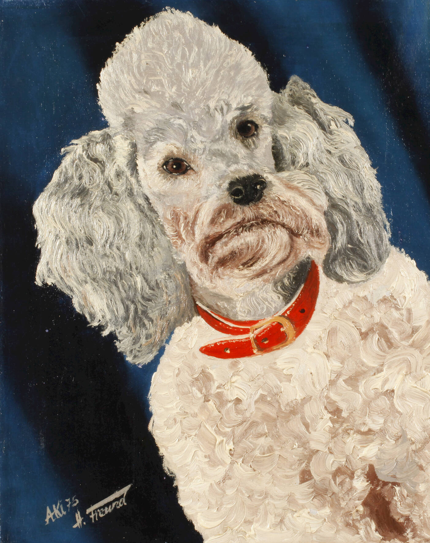 H. Freund, Pudel "Aki"