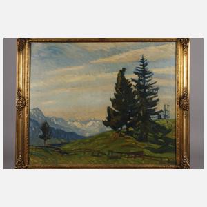 Eugen Haller, Hochgebirgslandschaft