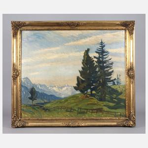 Eugen Haller, Hochgebirgslandschaft