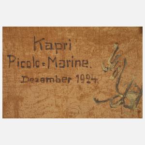 Hermann Koch, Küste auf Capri