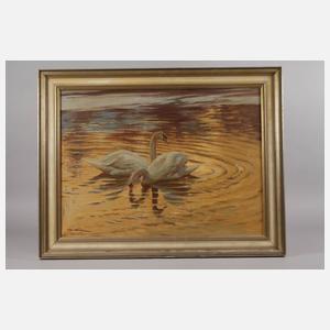 M. Küfer, Schwanenpaar