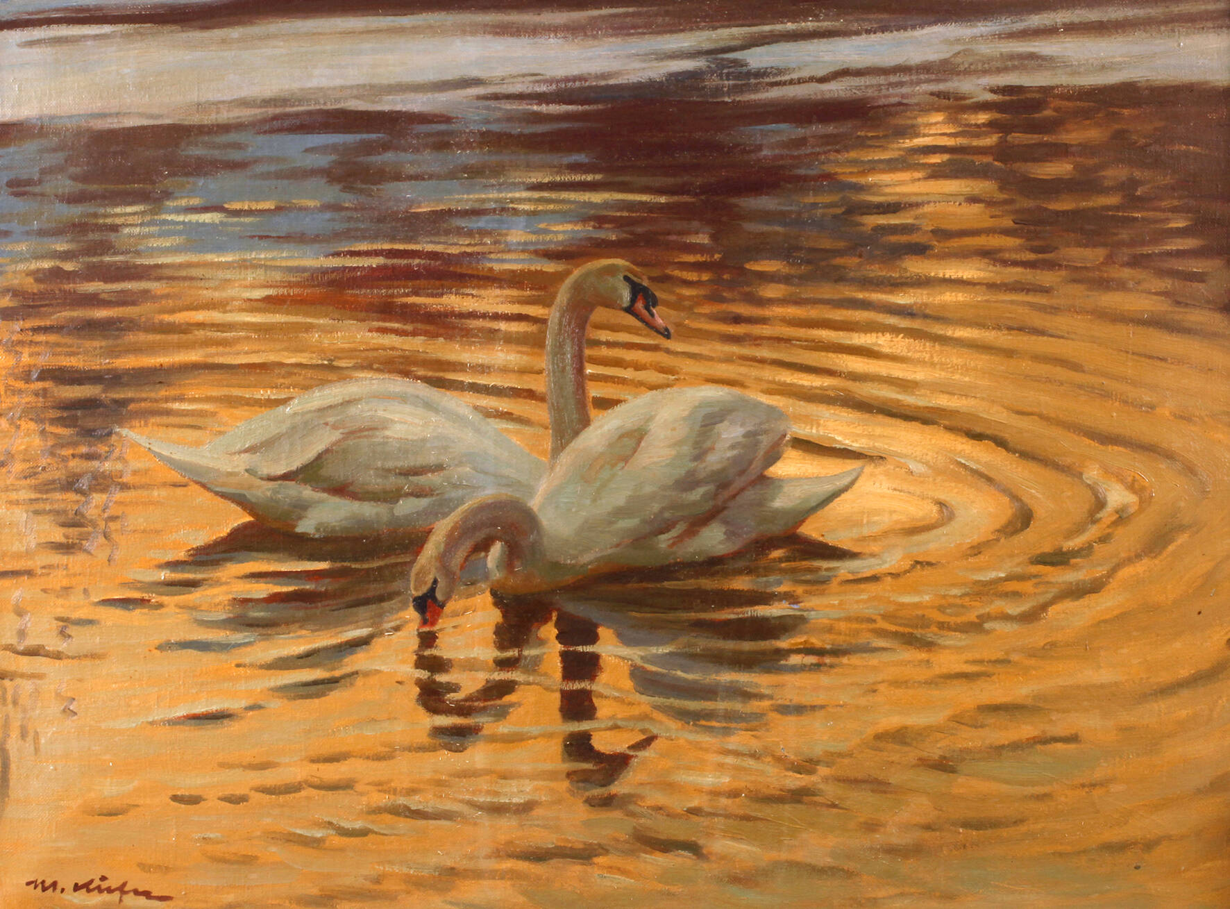 M. Küfer, Schwanenpaar