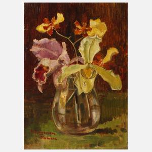 Henrietta Dingemans Numans, Orchideen