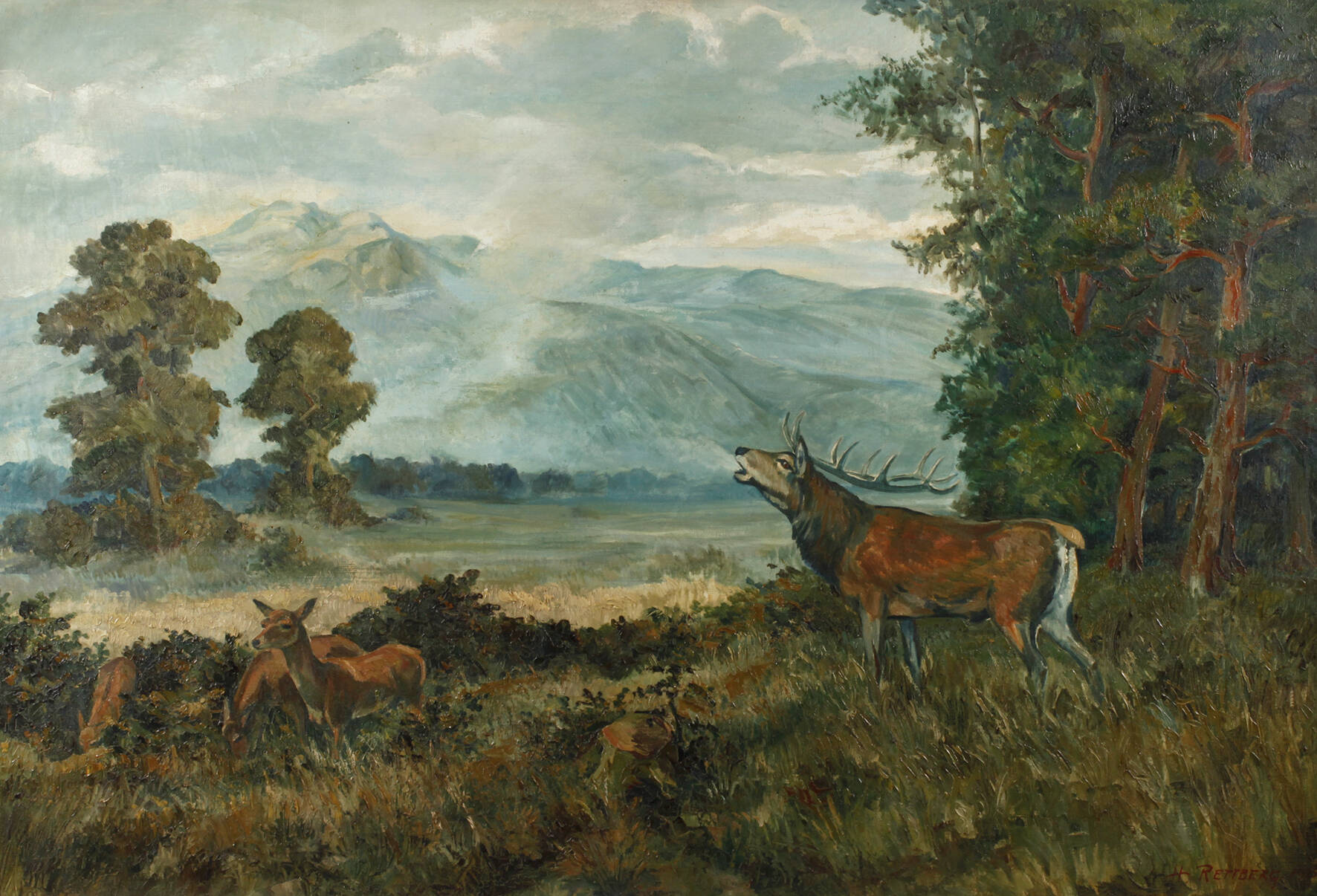 Hermann Rettberg, Hirsch