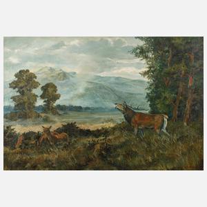 Hermann Rettberg, Hirsch