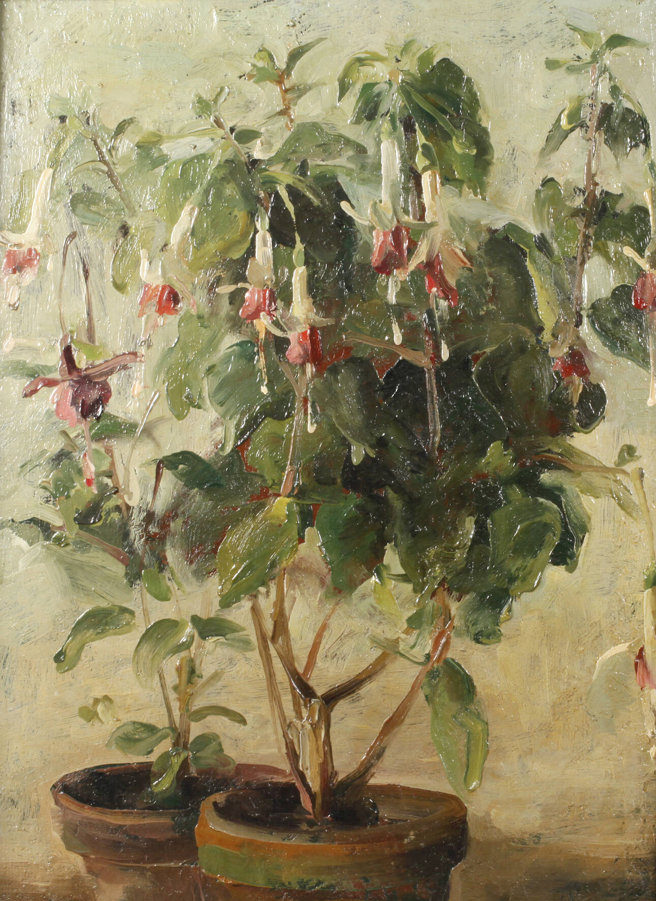 Marta Sappel, "Fuchsien"