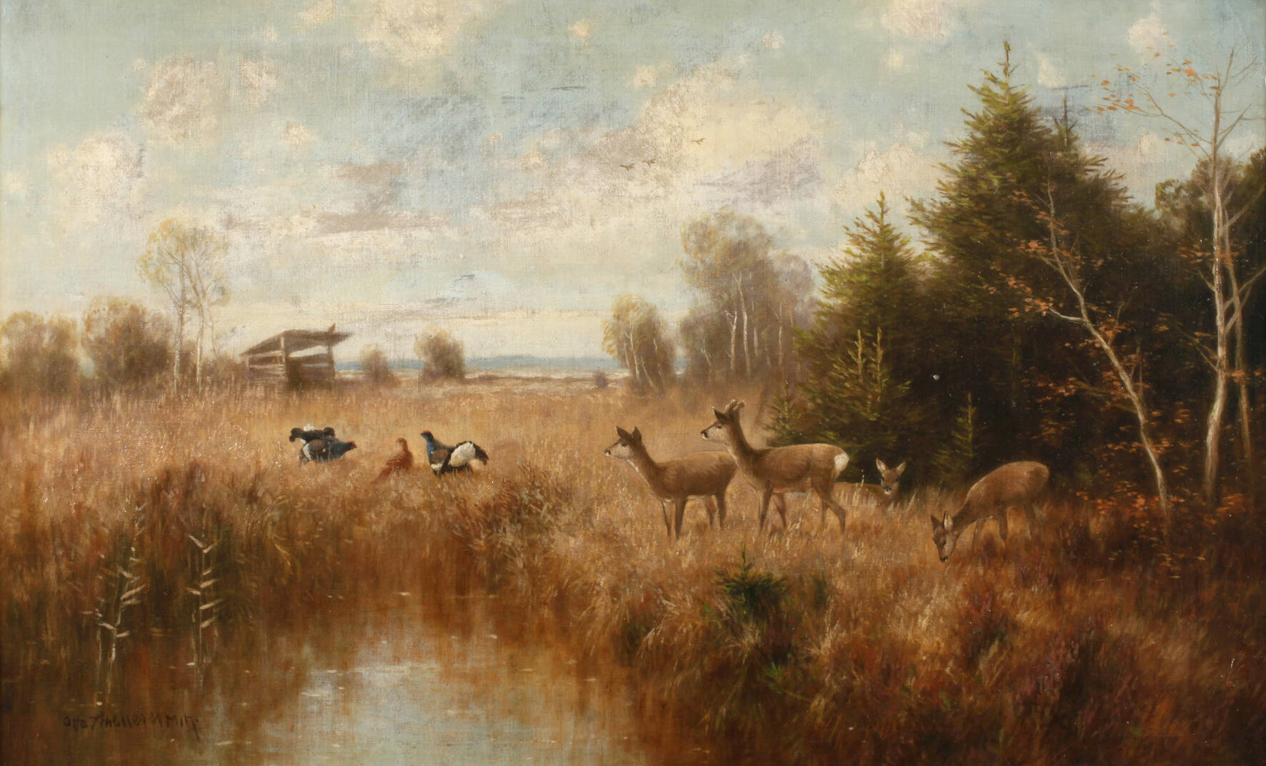 Otto Scheuerer, Auerhahnbalz