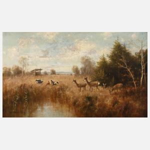 Otto Scheuerer, Auerhahnbalz