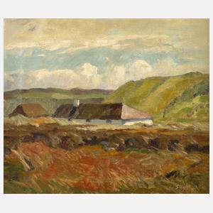 Albert Stegler, Nordische Landschaft