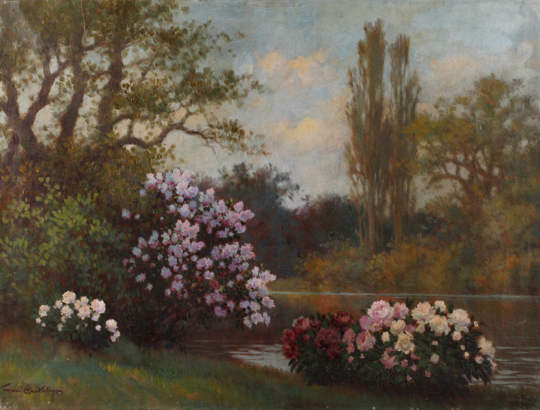 Székely Tordai, Rhododendron am Seeufer