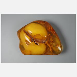 Bernstein Butterscotch