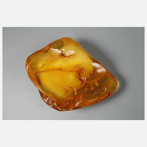 Bernstein Butterscotch