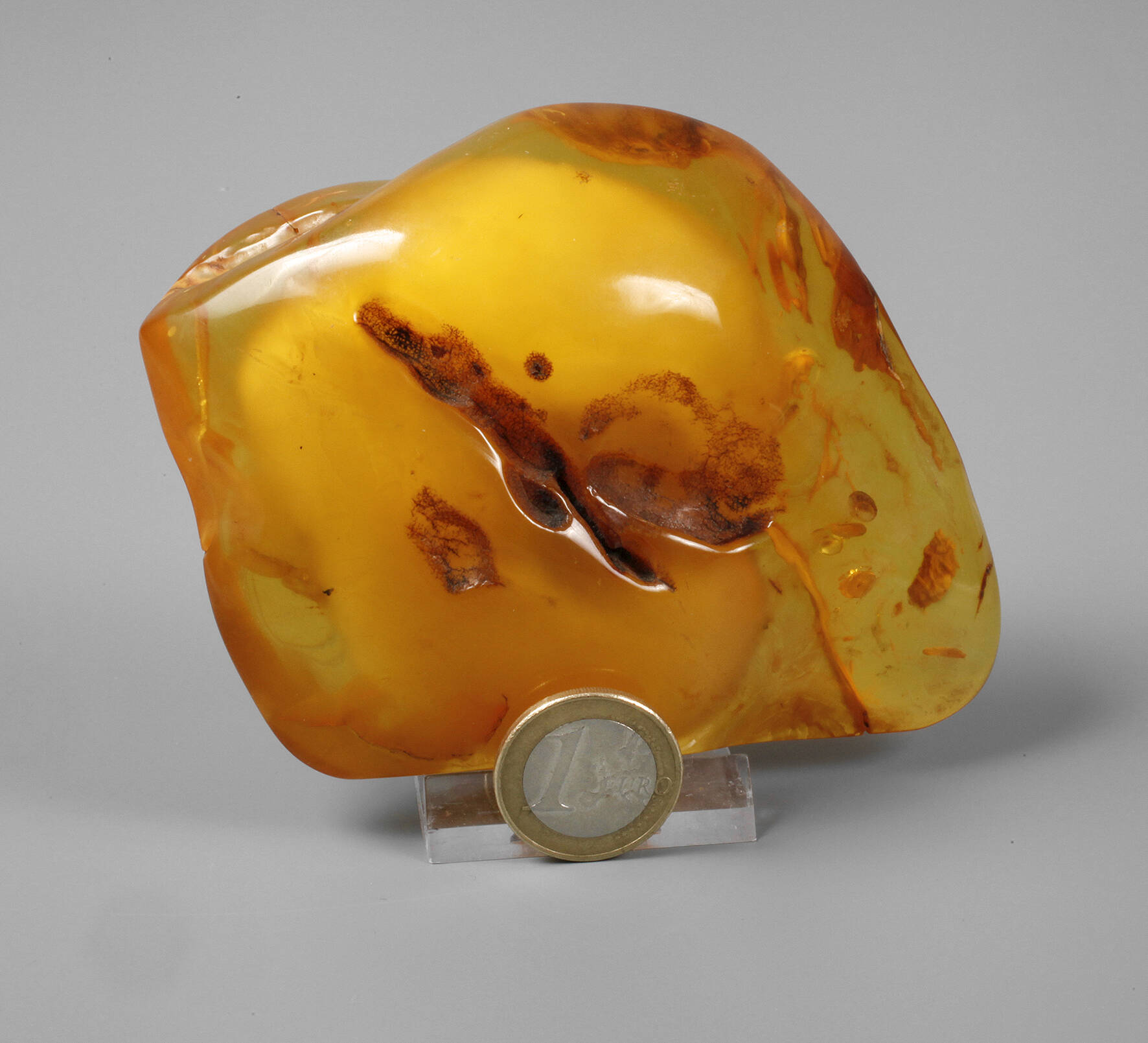 Bernstein Butterscotch