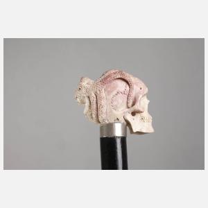 Spazierstock Memento Mori