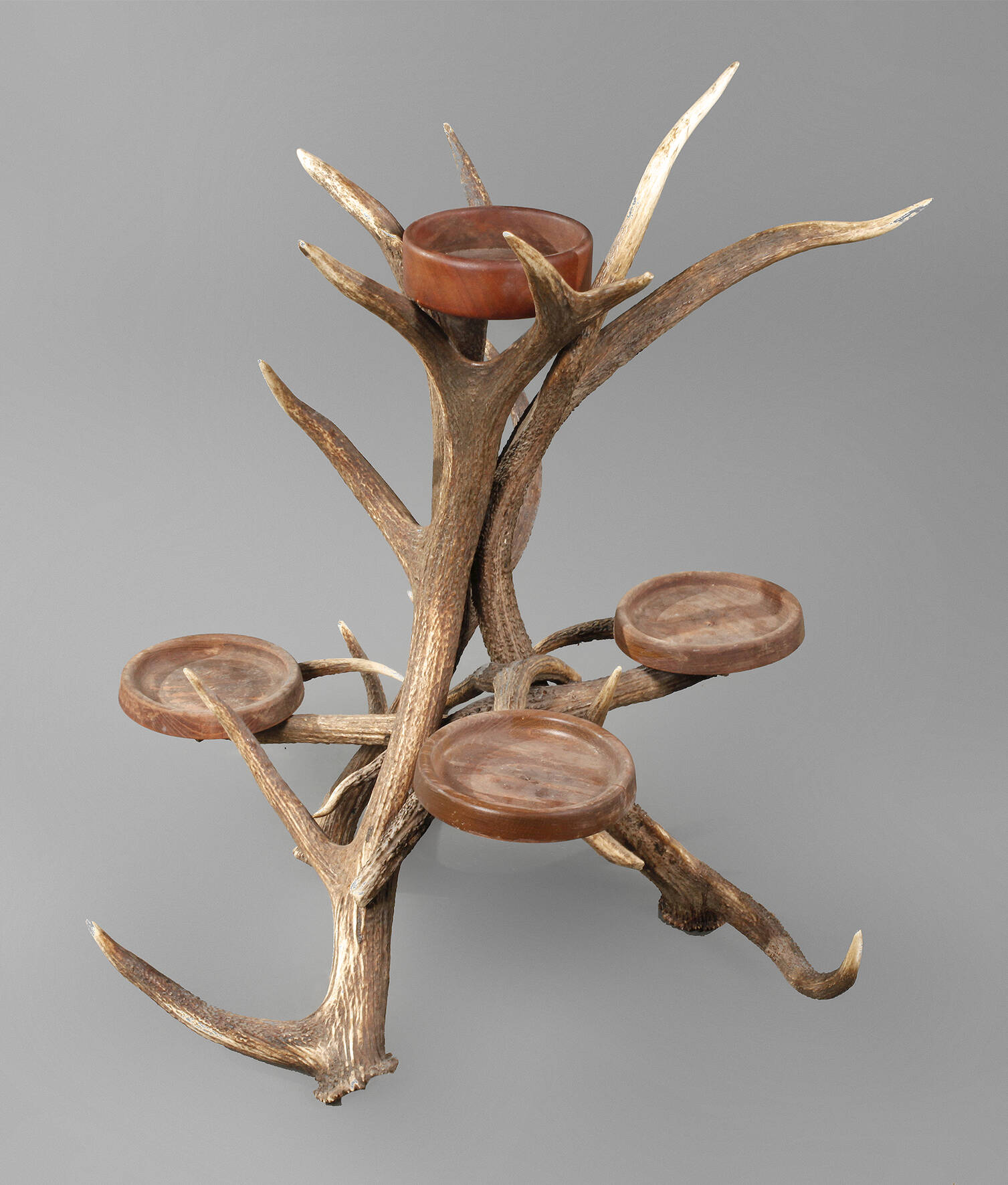 Geweihblumenständer