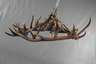 Großer Geweihleuchter