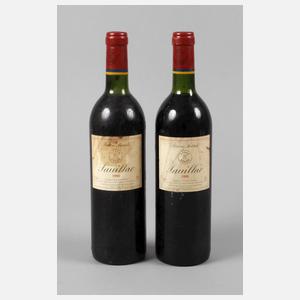 Zwei Flaschen Rotwein