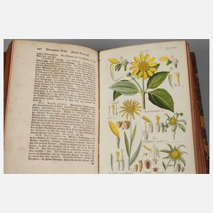 Botanisches Handbuch