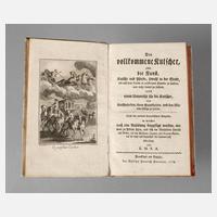 Der vollkommene Kutscher111