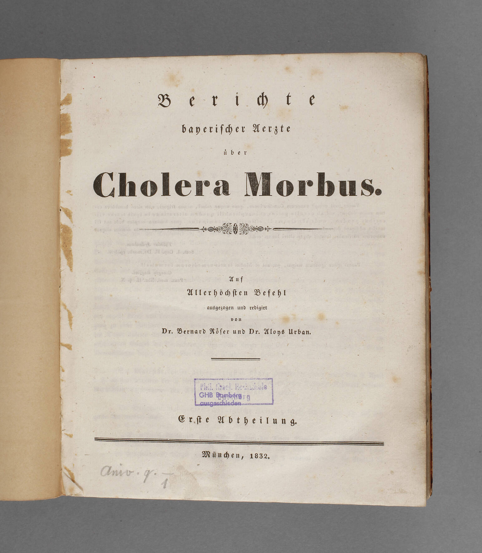 Berichte bayerischer Aerzte