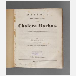 Berichte bayerischer Aerzte