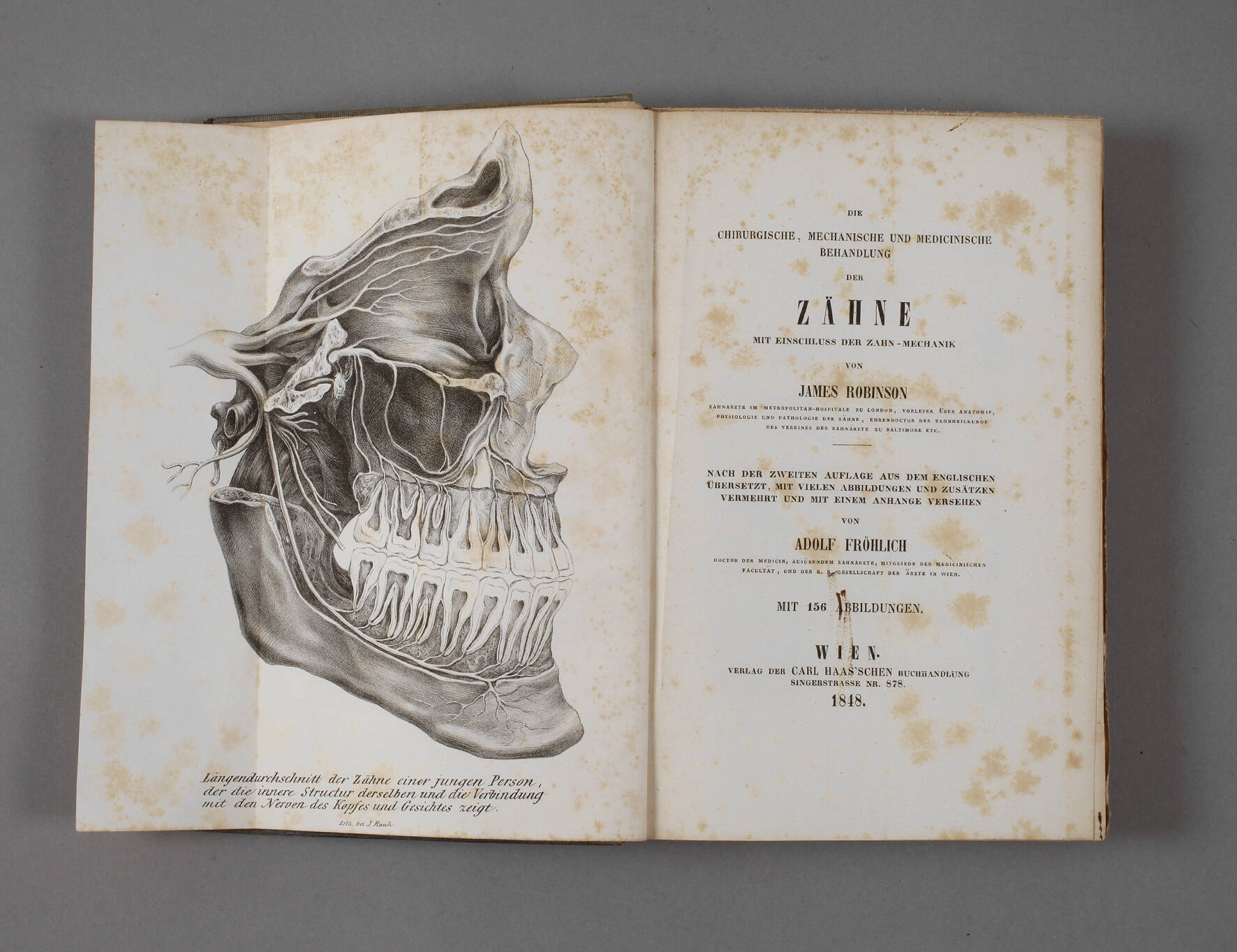 Die chirurgische, mechanische und medicinische