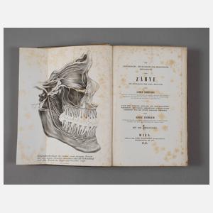 Die chirurgische, mechanische und medicinische