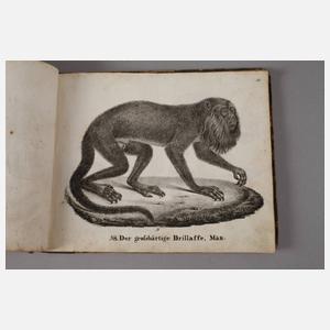 Neue Bildergalerie für die Jugend